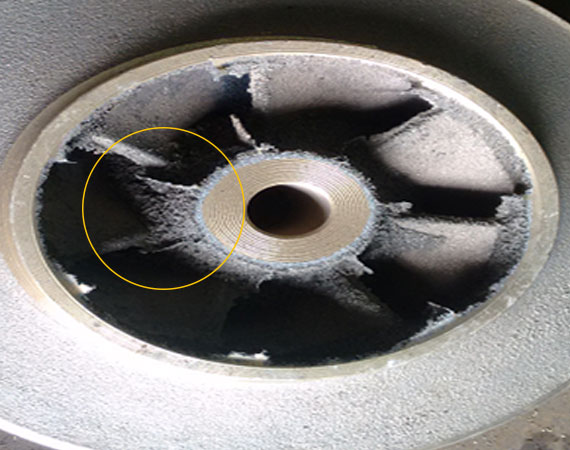Antiveining Case Study